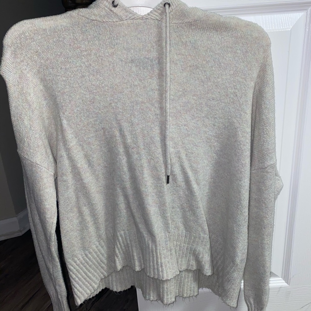 American Eagle Hooded Sweater